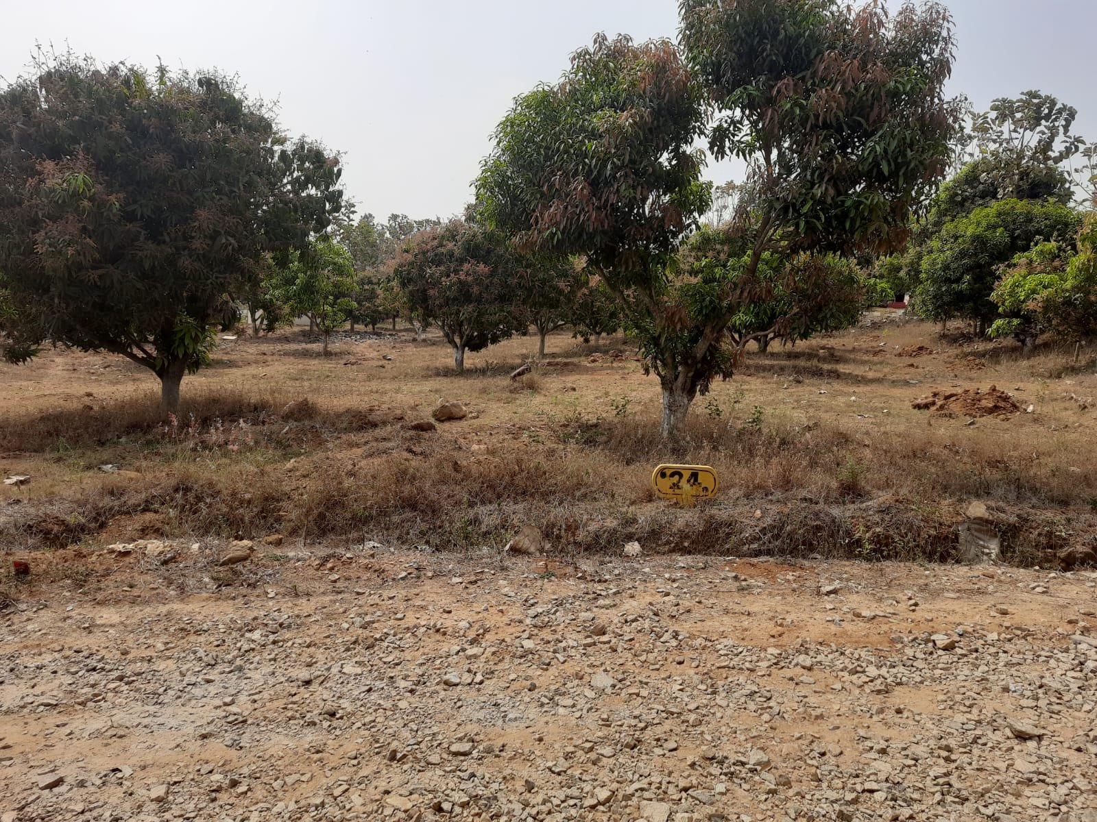 Agricultural Land photo 5